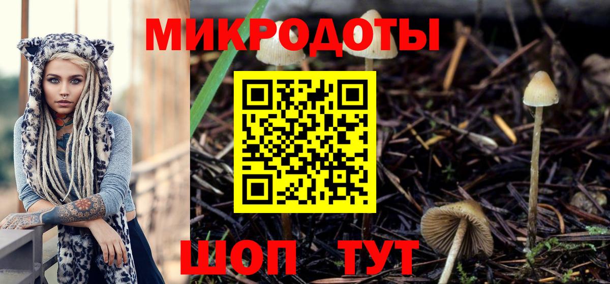 Галлюциногенные грибы Psilocybine cubensis  Вход с VPN  Выкса 